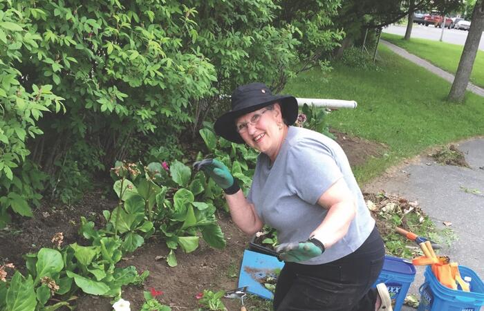 Life in a horticultural society types of society